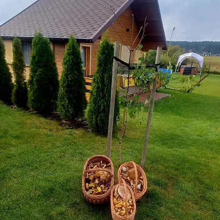 Pod Szczupakiem Деревянный коттедж *