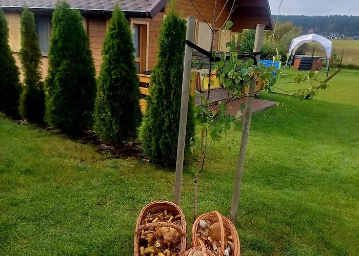 Pod Szczupakiem Lodge *